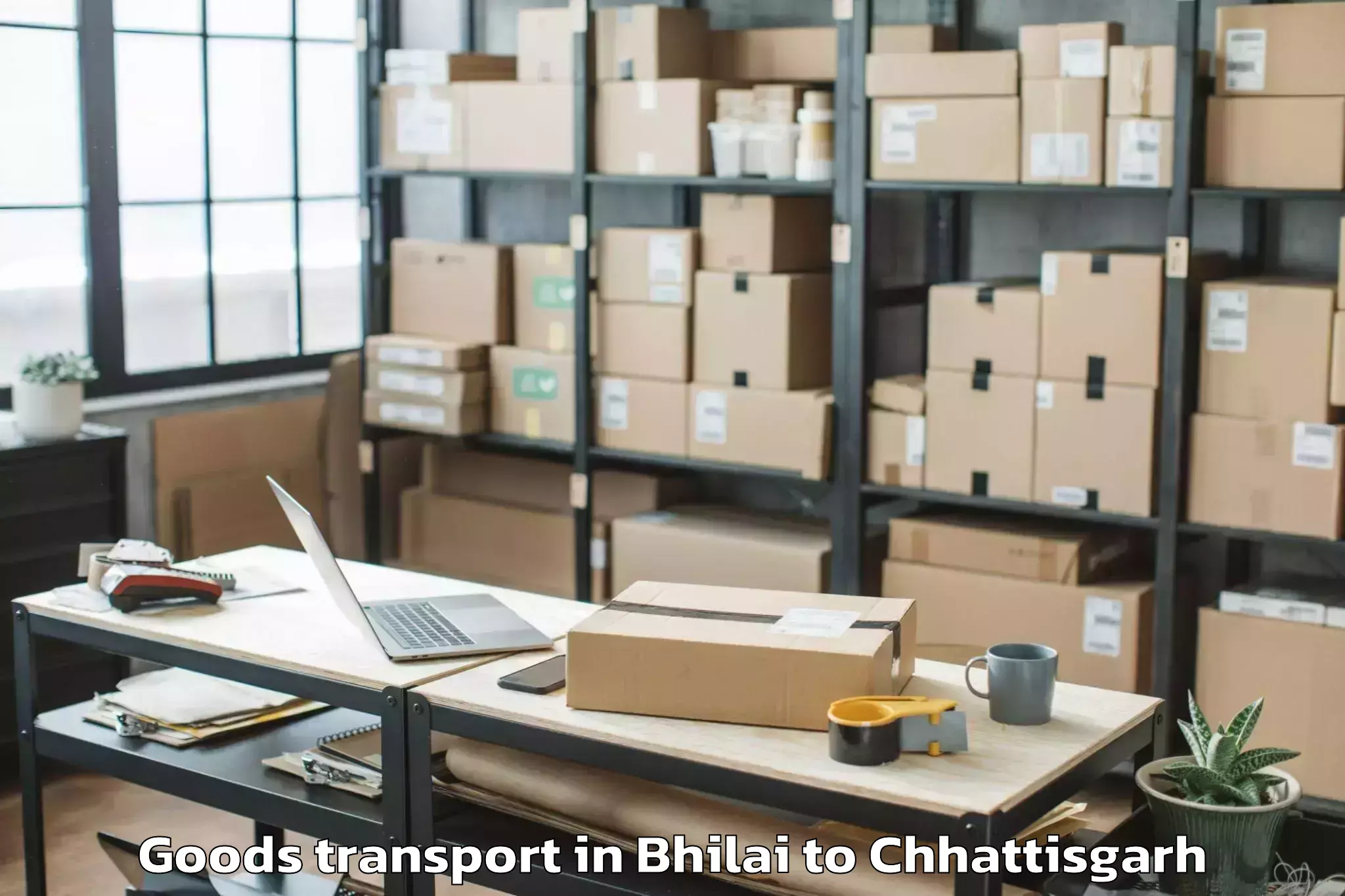 Get Bhilai to Op Jindal University Raigarh Goods Transport